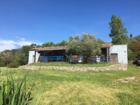 Maison bois bleu, en Cévennes